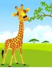 Comptine la girafe est grande