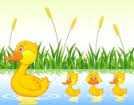 Five little ducks - Chanson en anglais