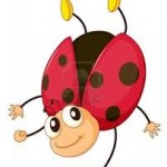 coccinellecoccinellecoccinelle rigolote