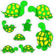  la famille tortue chanson pour enfant