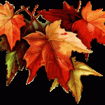 feuilles_automne
