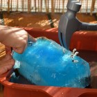 Jeu d'eau , casser des glaçons (Dès 2 ans)