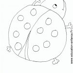 Coloriage de coccinelle pour enfant