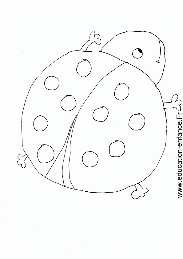 Coloriage de coccinelle pour enfant