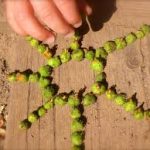 Le Land art , activité nature pour les enfants