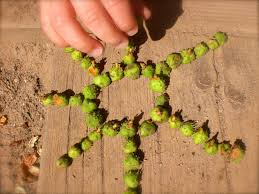 Le Land art , activité nature pour les enfants