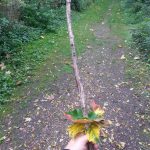 Fabriquer une épée pendant l' automne