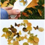 Activité d'automne pour enfant: perforer feuilles d'automne