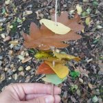 Brochette de feuilles d'automne: Enfilage de feuilles sur un bâton en bois