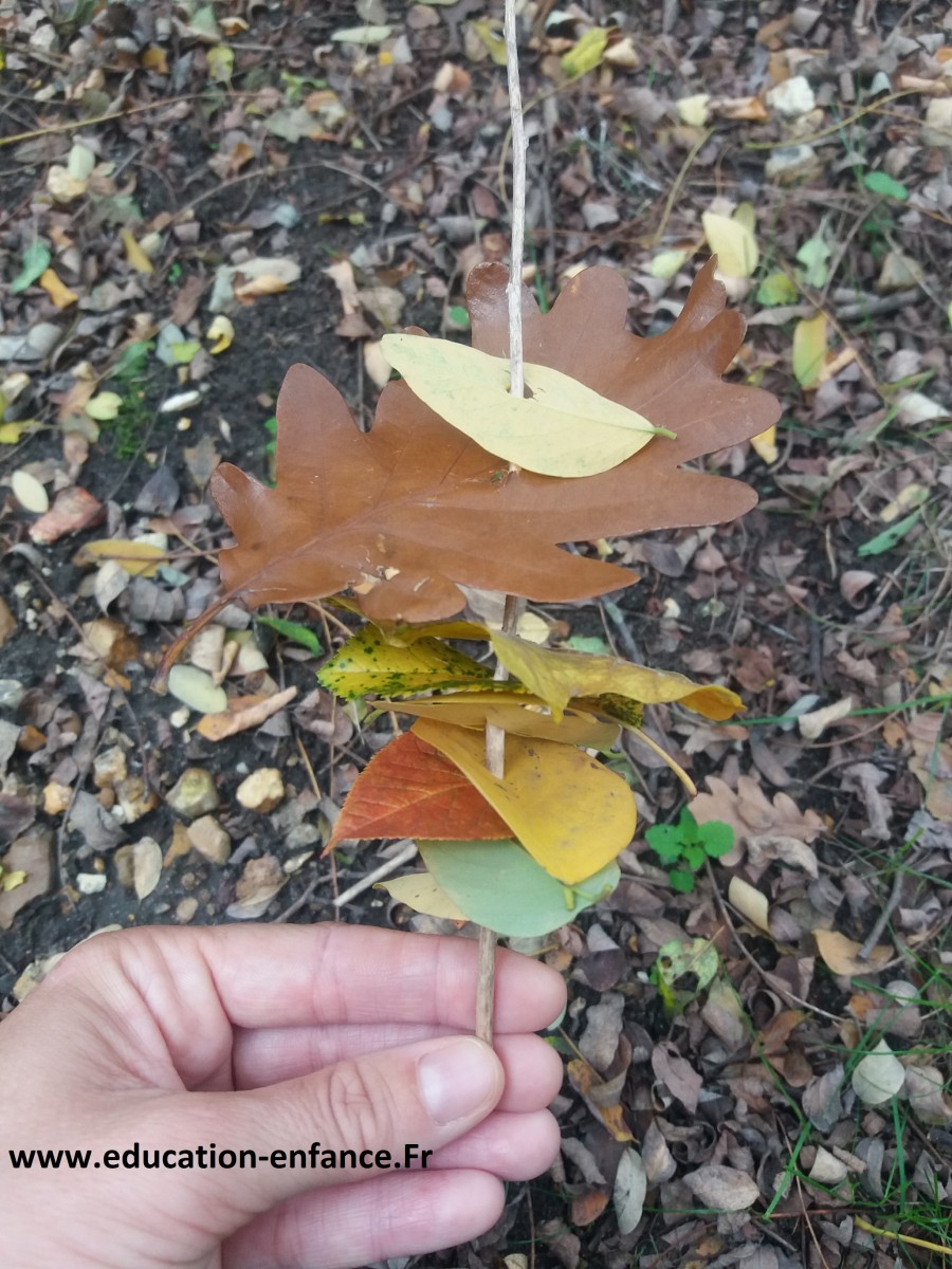 Brochette de feuilles d’automne: Enfilage de feuilles sur un bâton en bois