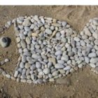 Land'art dans le sable