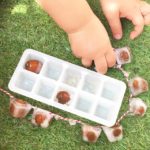 Activité glace aux marrons glands et chataignes