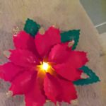 Chanson de Noël "une fleur m'a dit"