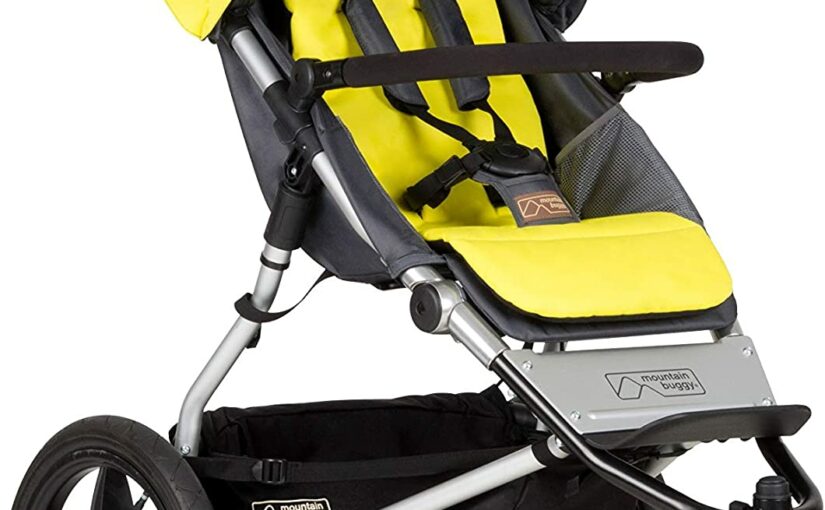 Poussette tout terrain Mountain Buggy Terrain solus