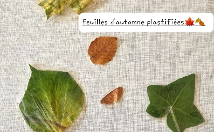 Activité découpage de feuilles d’automne pour les enfants (Dès 2 ans et demi)