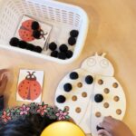 activité maternelle de concentration: la coccinelle