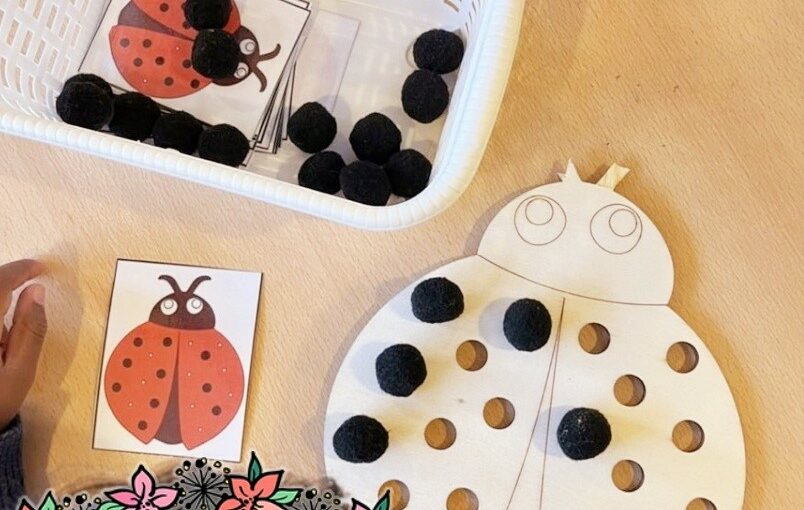 activité maternelle reproduire un modele de coccinelle