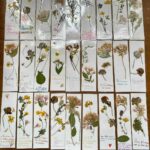 marque page fleuri à fabriquer avec des fleurs séchées